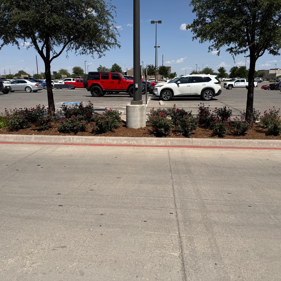Img 1445