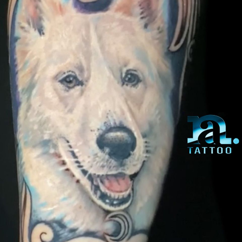Adrian dog portrait in progress