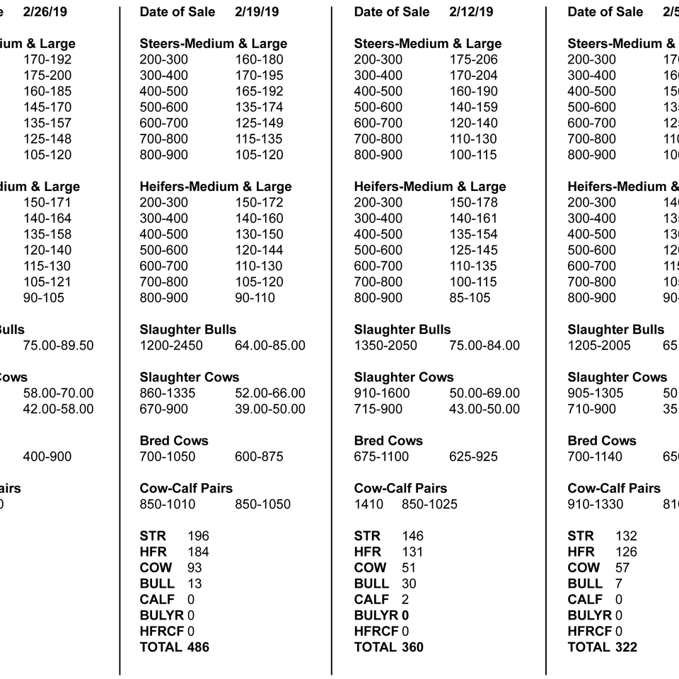 Market report instructions