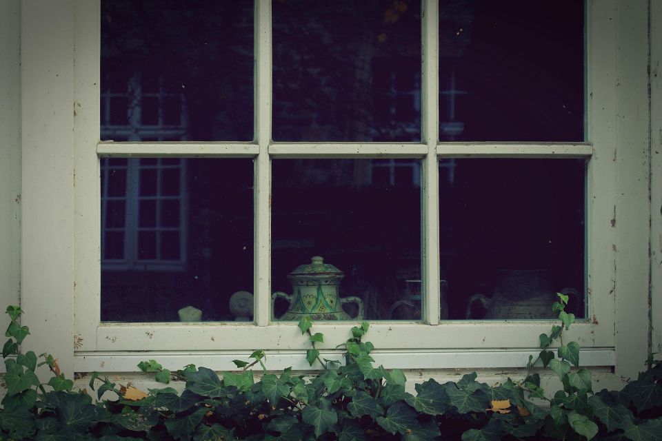 Window g5846cefc9 1920