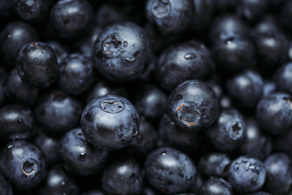 Mariya m blueberries ge55fa5b09 1920