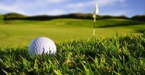 Ball 300x156