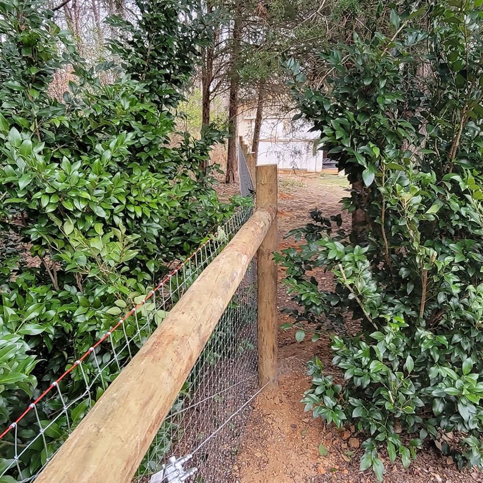 271972765 597548684915636 546023708776559673 n min