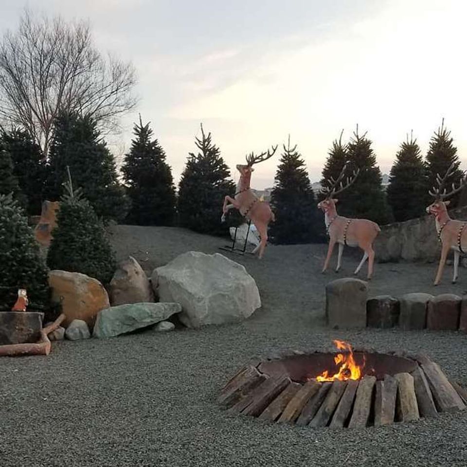 1616453187347 xmas7