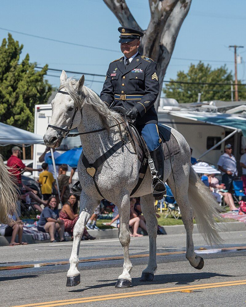 California state military reserve 26th cavalry support regiment (34696776111)