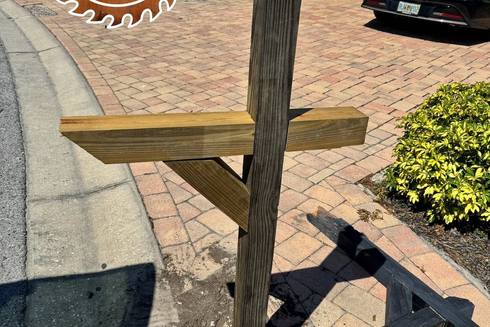 497474552 1255150323279056 8883303109539858301 n