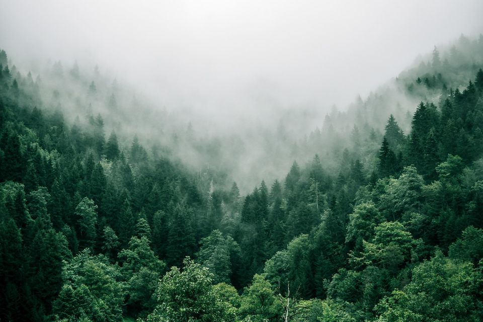 Marita kavelashvili ugnrxk1129g unsplash