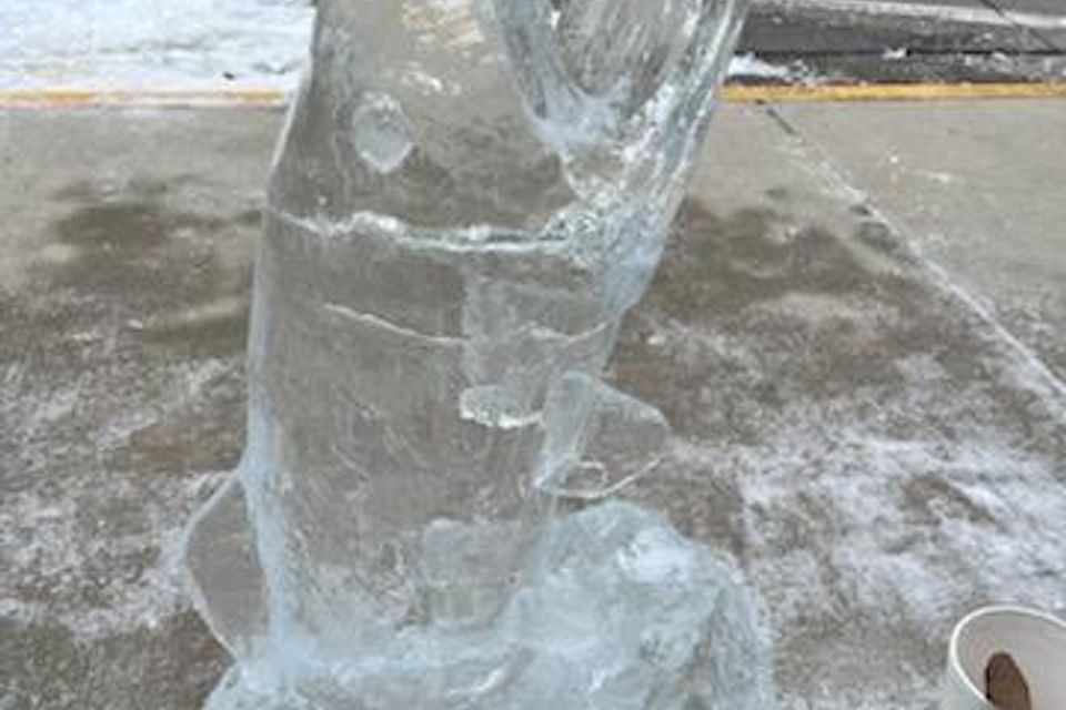 Ice carving 2025 51