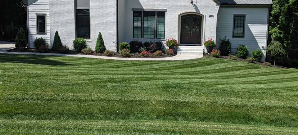 lawn service in raleigh, lawn treatment, mulch, brick pavers