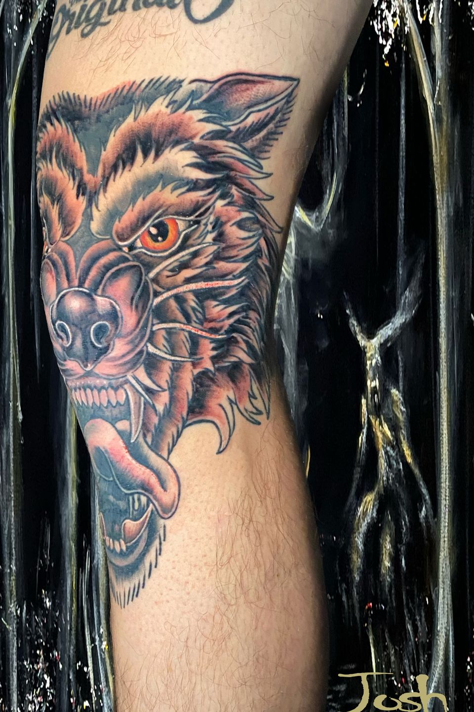 Josh wolf in progress copy