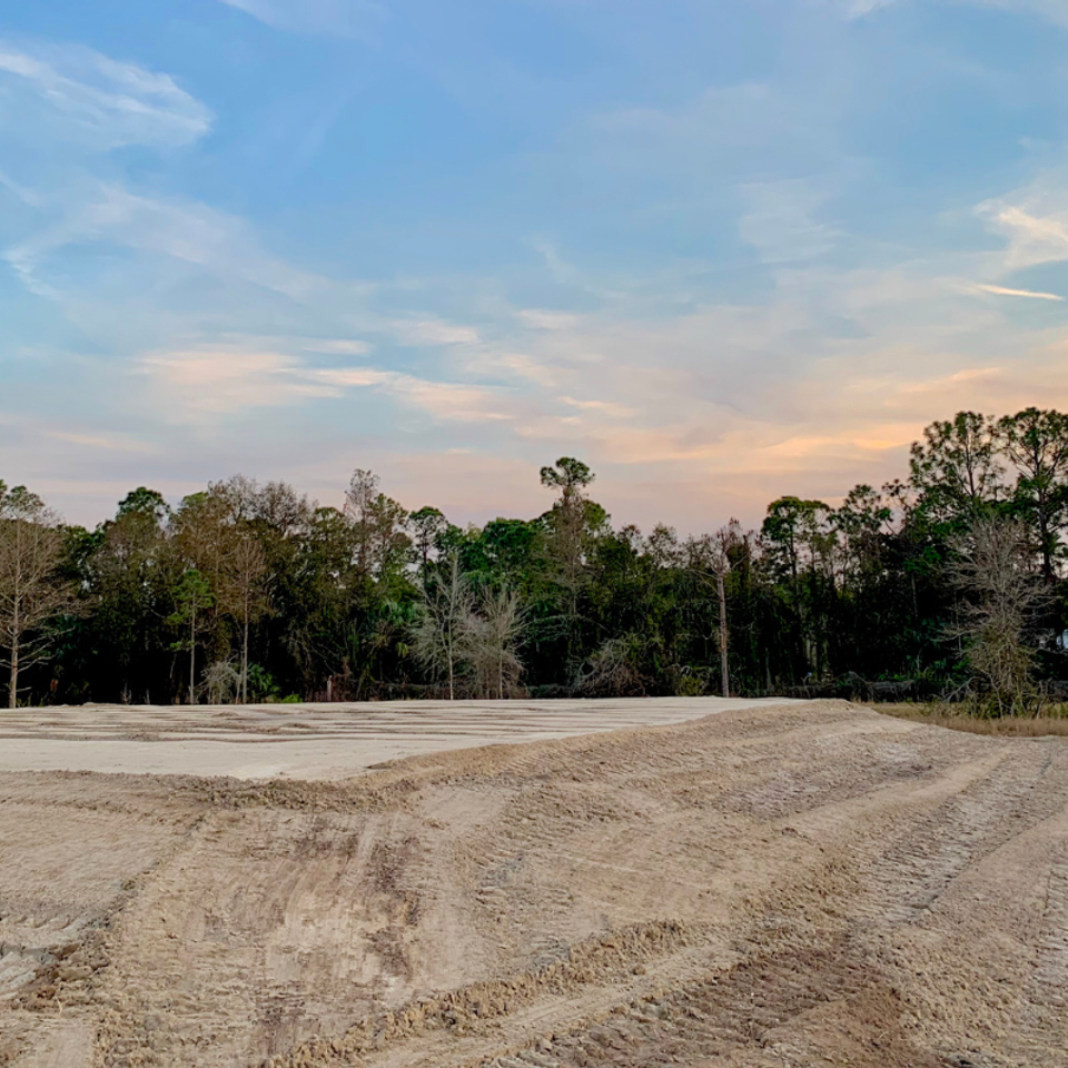 Lot Clearing by DTM Construction of Ash, NC