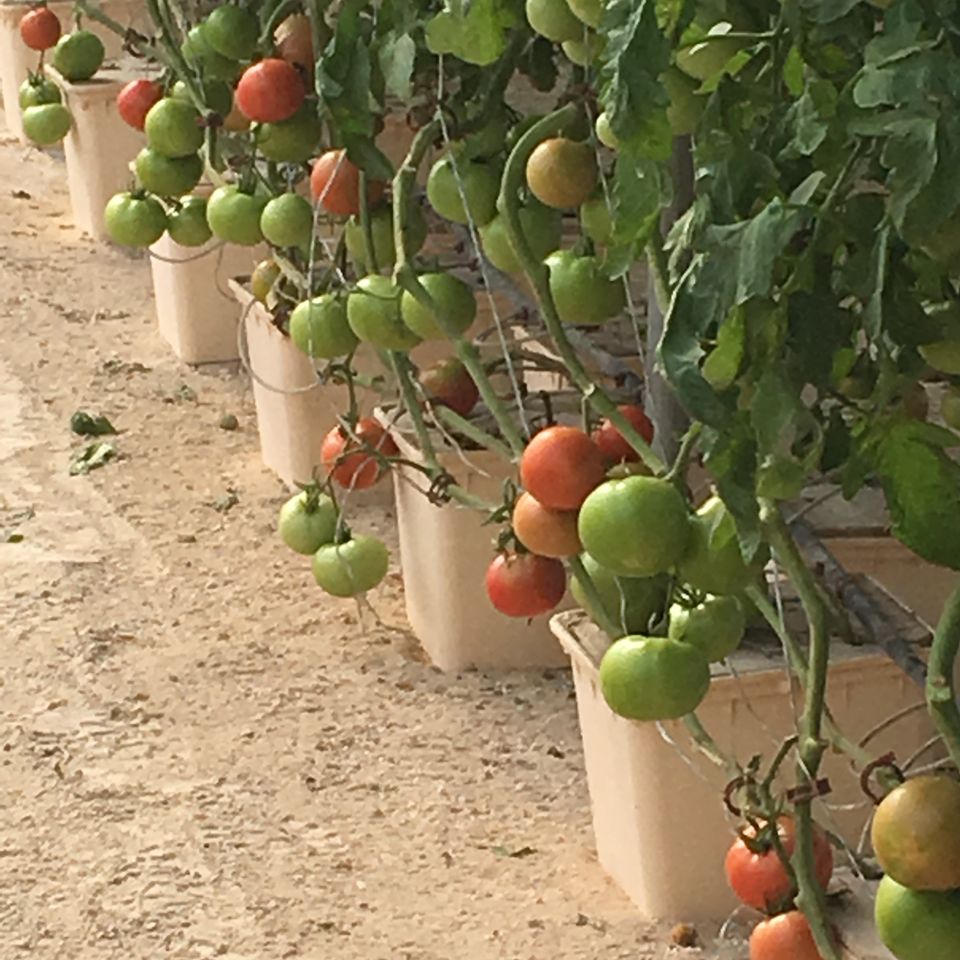 Img 0872