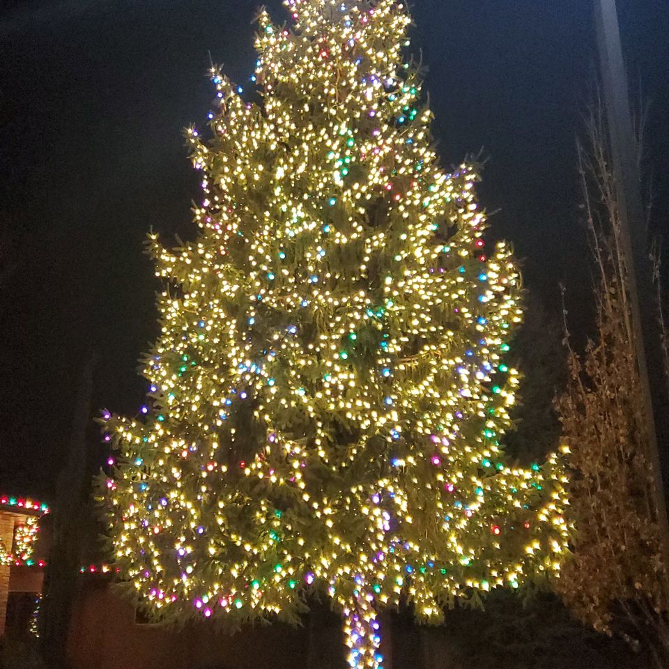 Holday tree covered in lights in meridian id