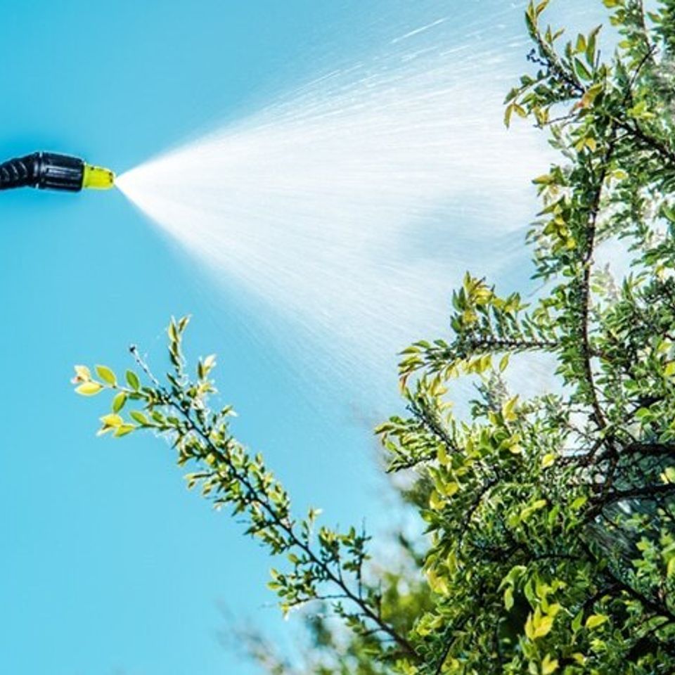Tree spraying (1)