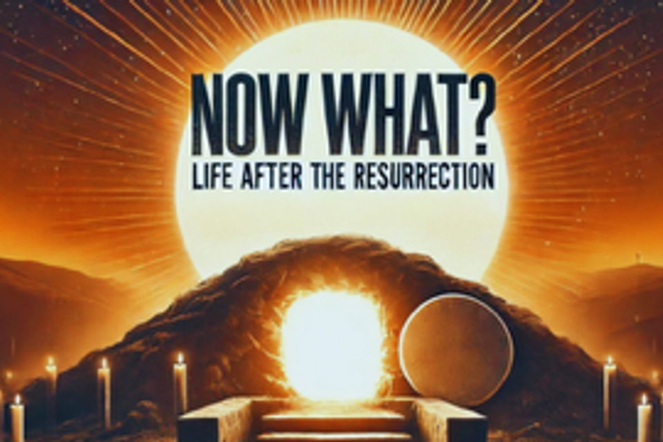 Now what