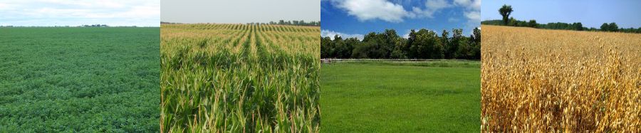 Fields