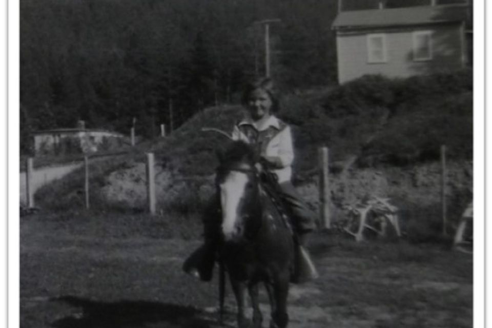 415 horse deadwood