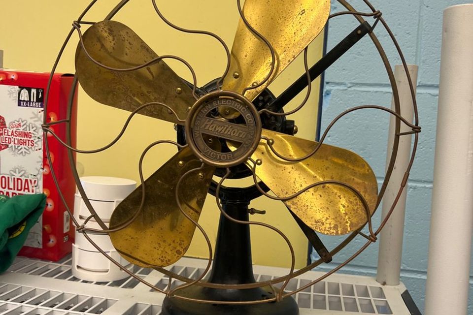 Hedgemont fan