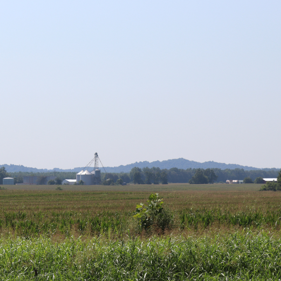 Field view and silos summer