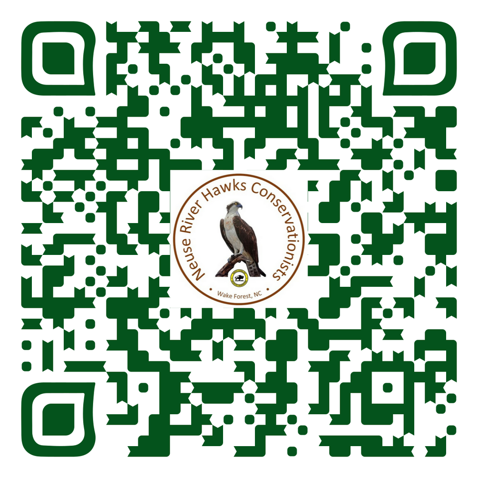 Qr code 1
