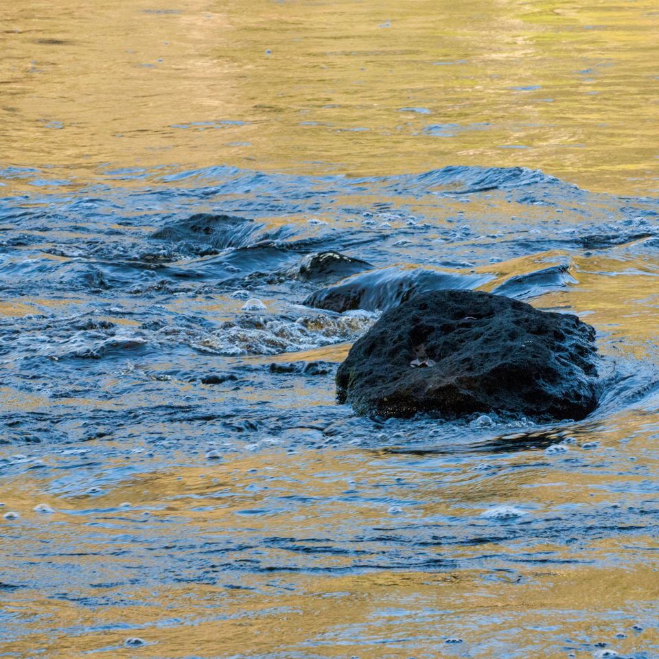 Santa fe river evening 83