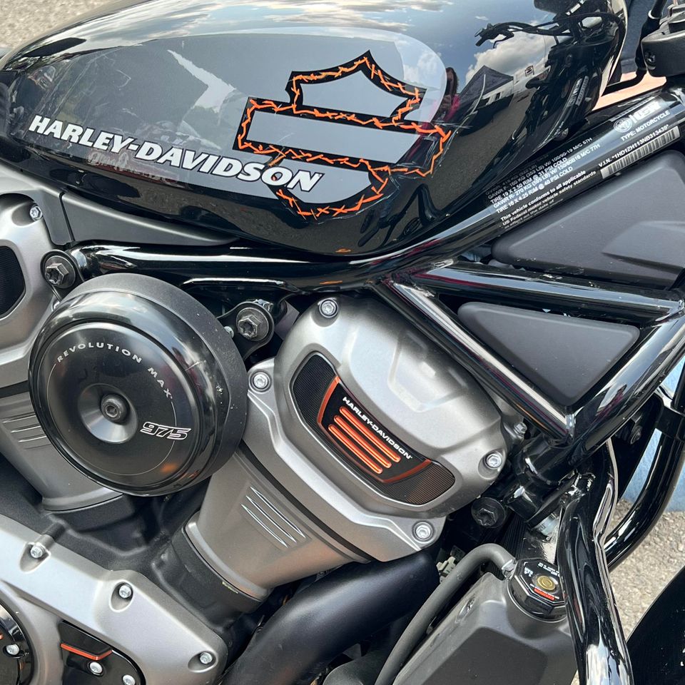 Creative custom pinstriping design and artistic projects created by Skeeter's Grafix.