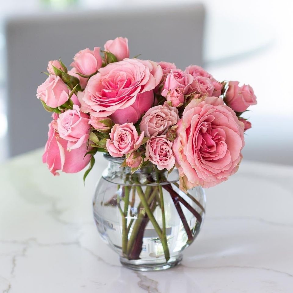 Everyday elegance