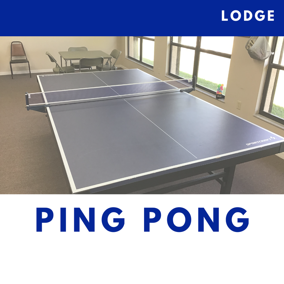 Slf ping pong