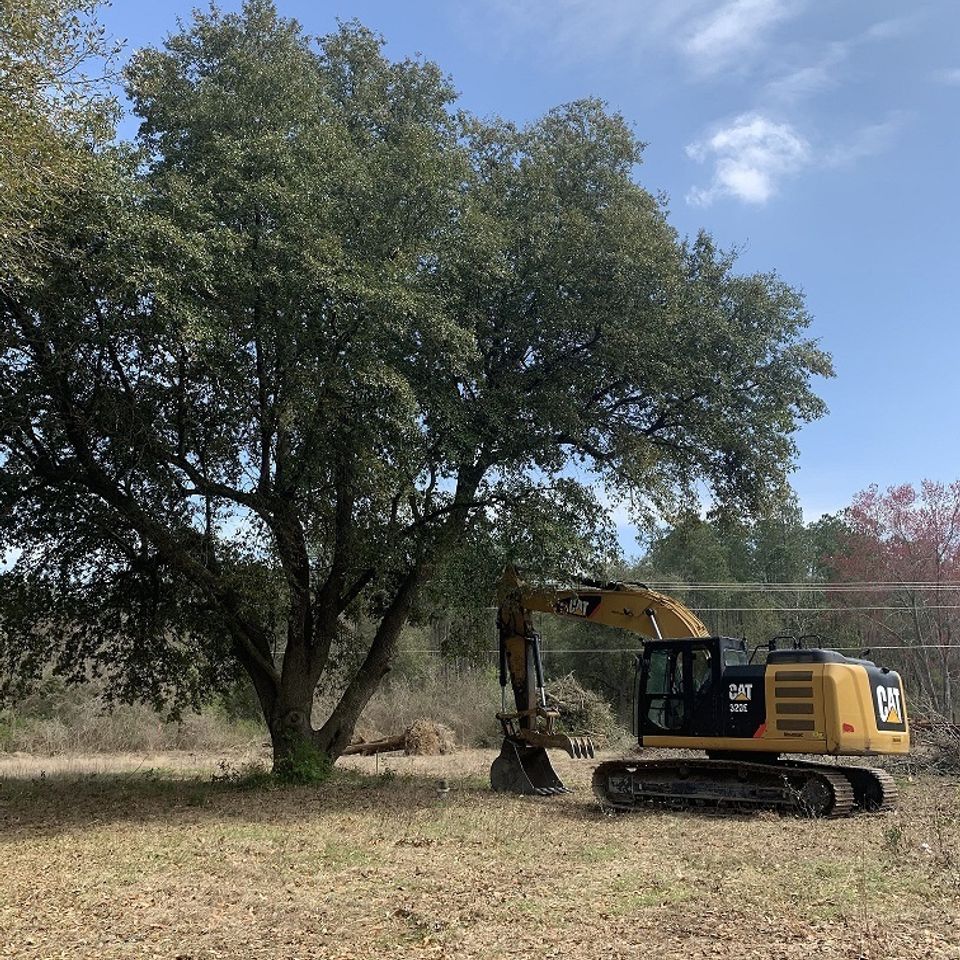 Land clearing