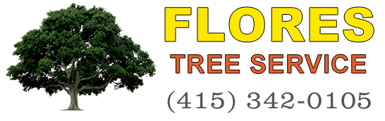 Flores Tree Service
