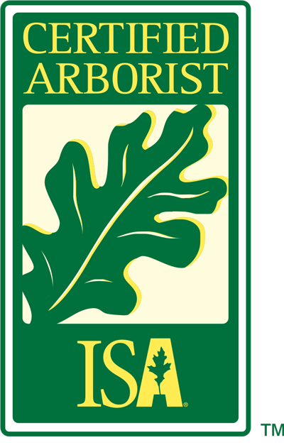 Isa 1