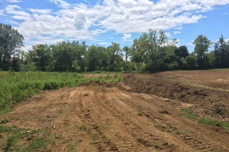 Gallery bush trucking 12