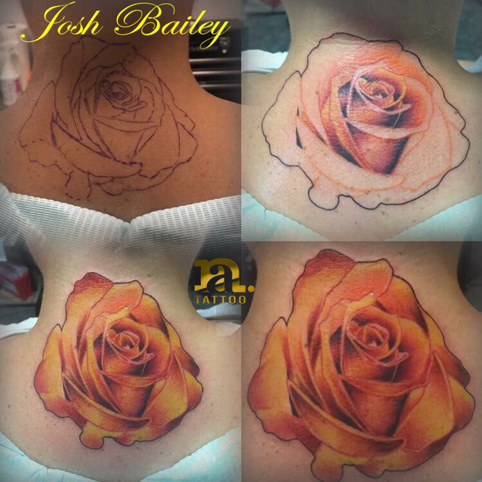 Josh orange rose