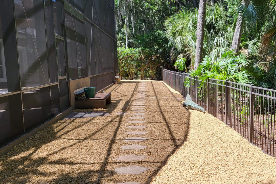 Screenshot 2025 10 20 081802