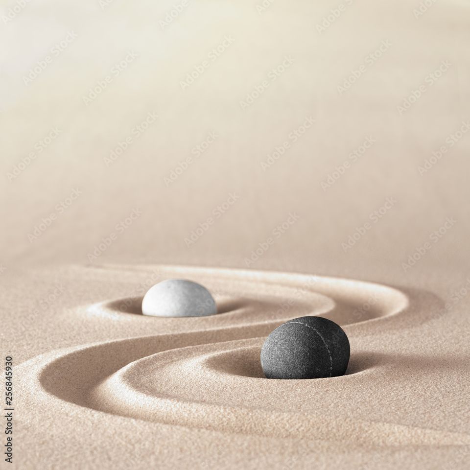 Annual update yin yang 4