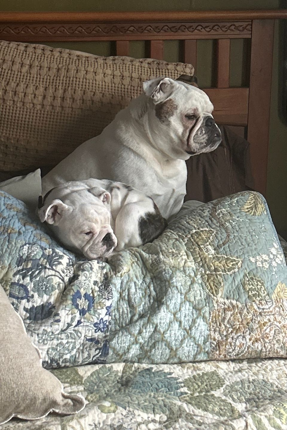 Jaxandjemma
