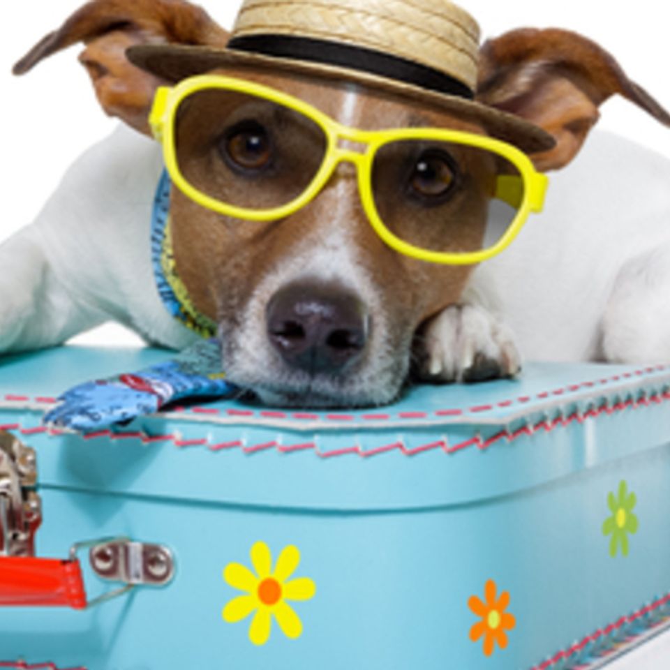 Shutterstock 9784676620160413 25011 n5edw5