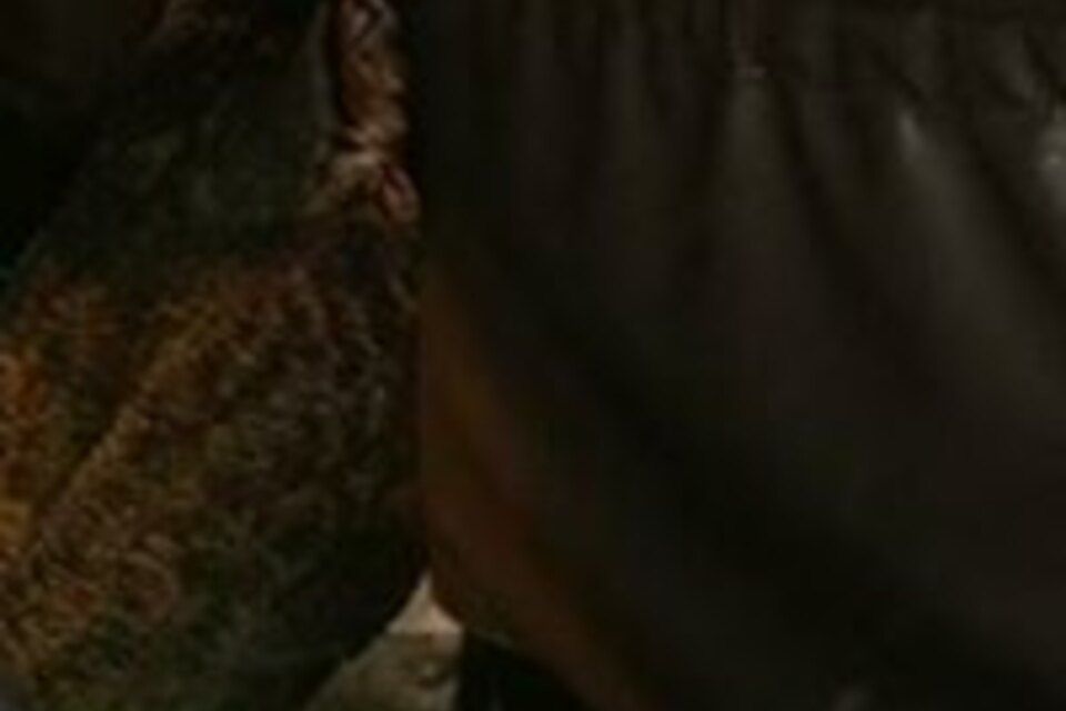 27072385 2303023953056635 8368554049709915632 n 960x960