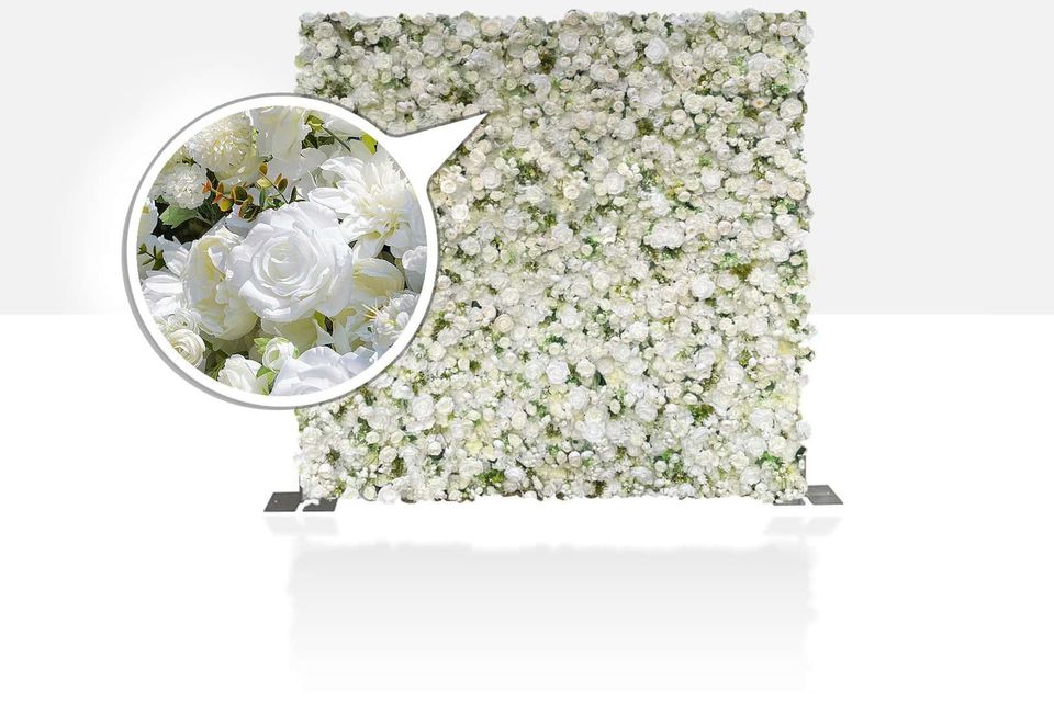 White rose 