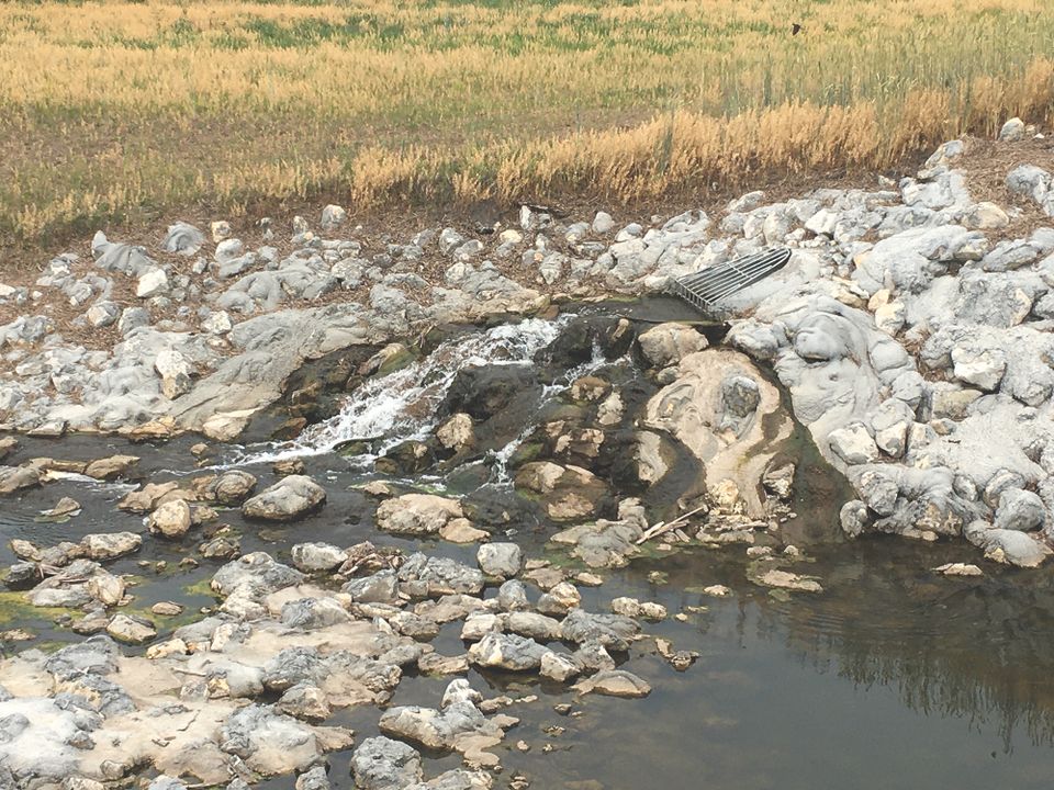 Wetlandrunning