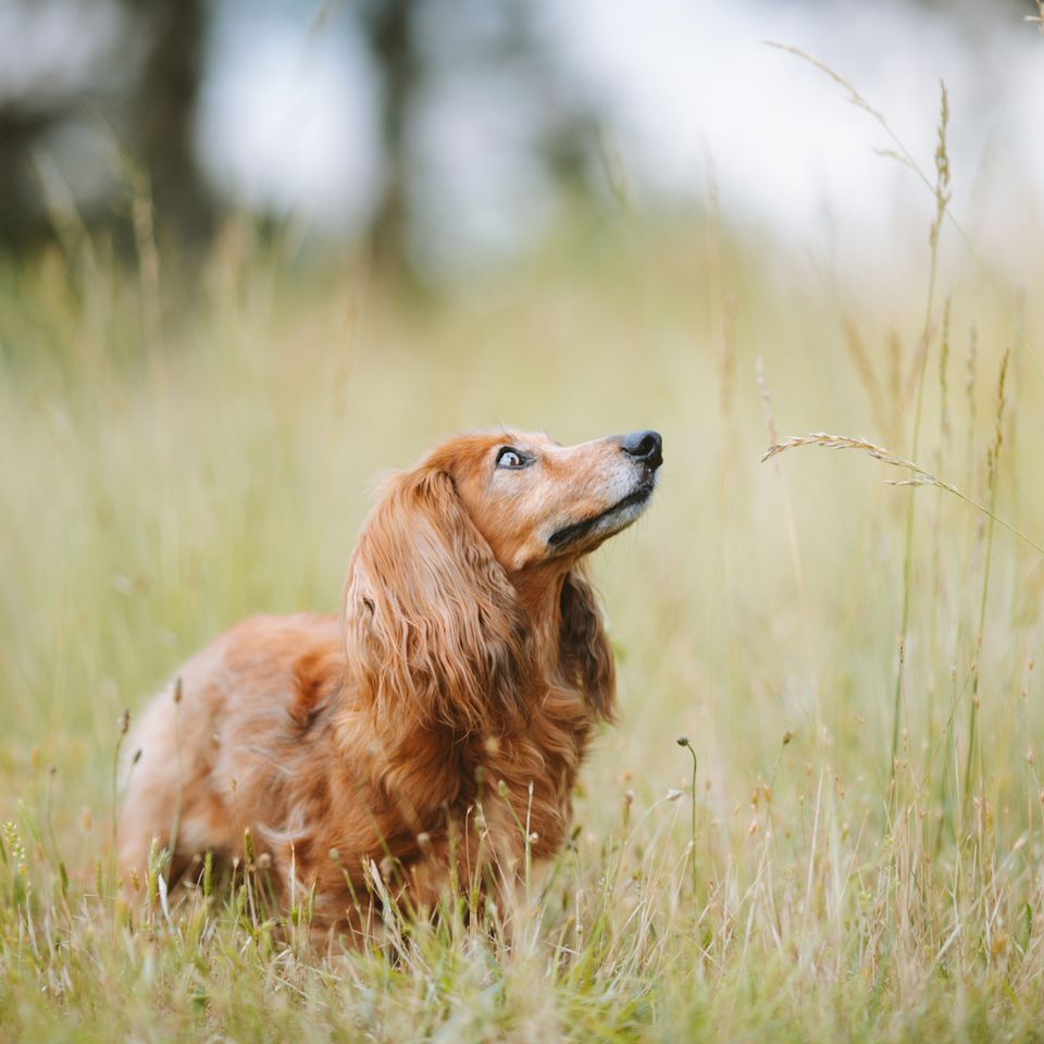 Photo 1685991285336 8e446666f288