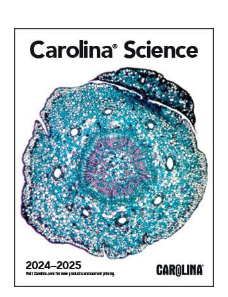 Carolina catalog