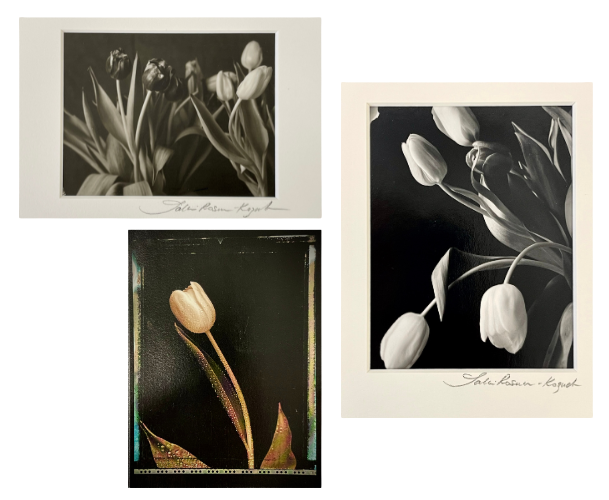 About me transparent background