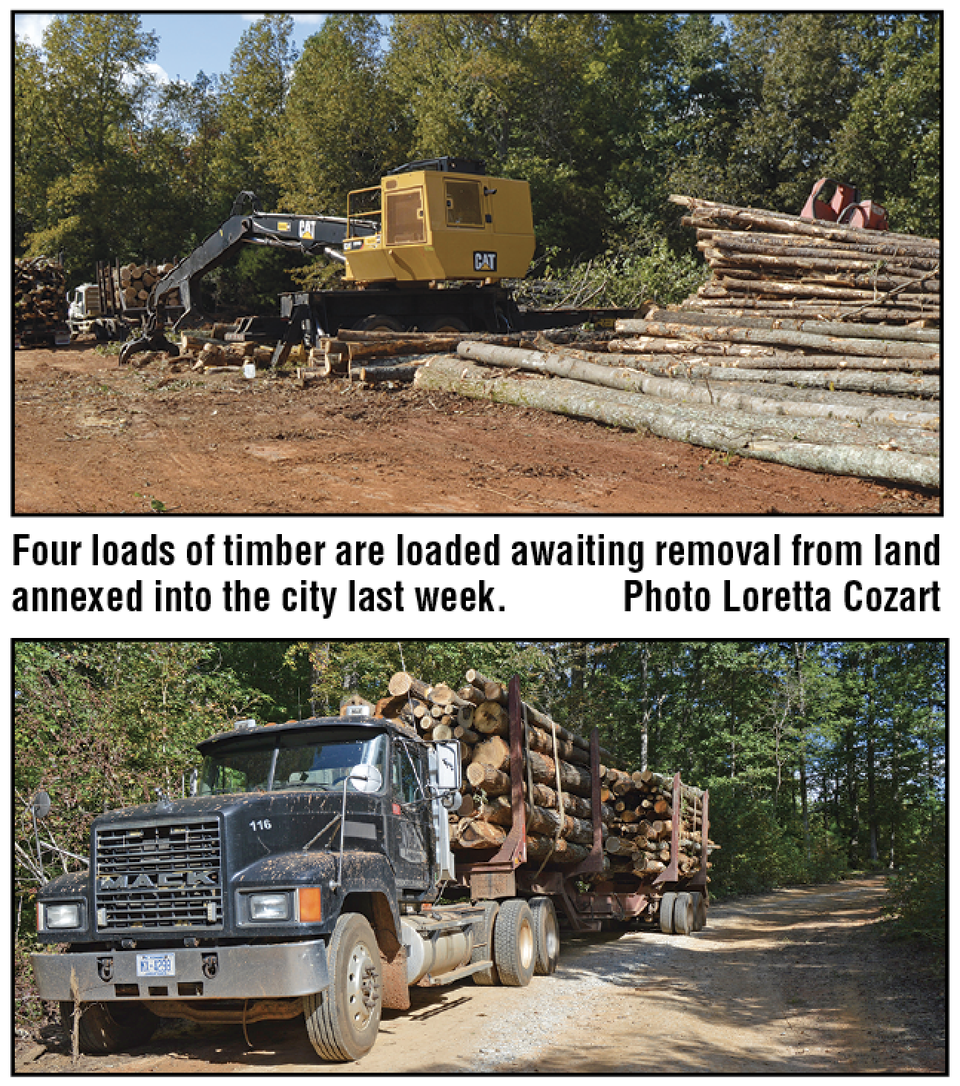 Landclearing