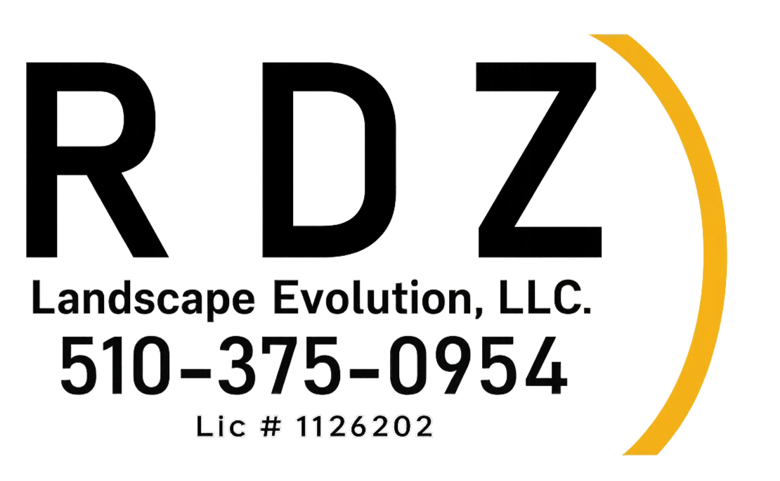 RDZ Landscape Revolution