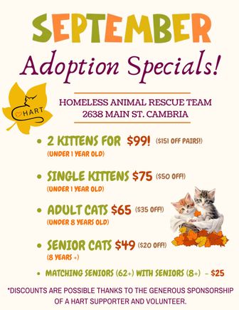 New new fall adoption specials (1)