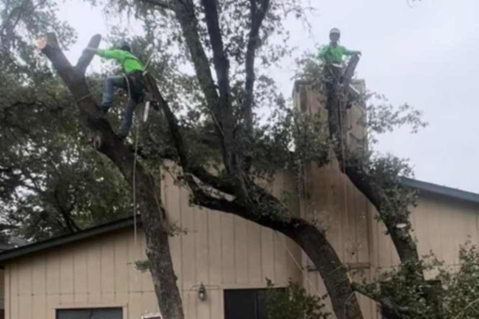 Untitled design   2026 01 31t172243.618