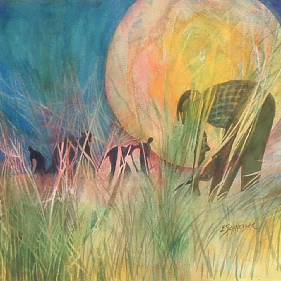 Midnight harvest