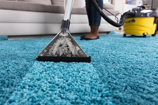 A carpet cleaner is being used on a blue carpet  with a focus on the vacuum head and foam  and the cleaning unit in the background.