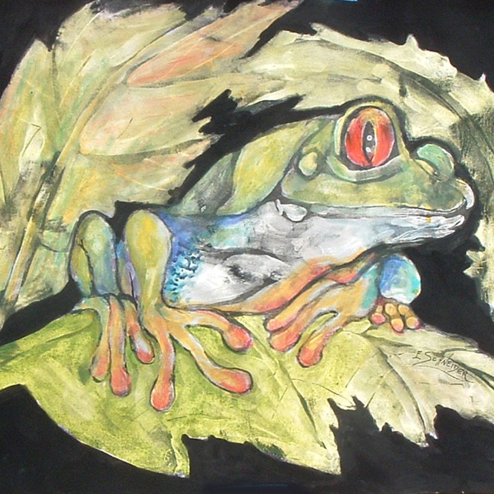 Mister froggie